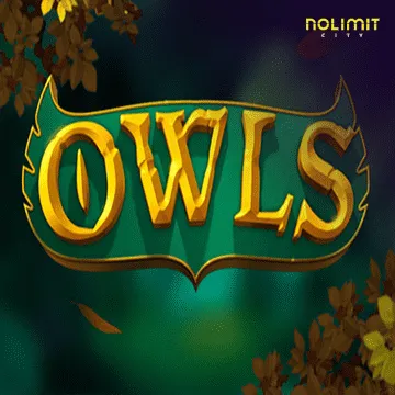 Owls - STORYBET138